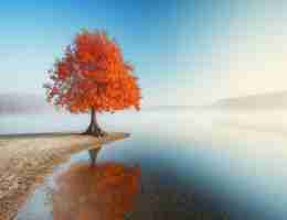 脚‌本﻿的﻿运‍行‍原‌理﻿